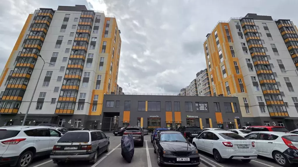 Студия Ленинградская область, Новоселье г. Ломоносовский район, ... - Фото 1