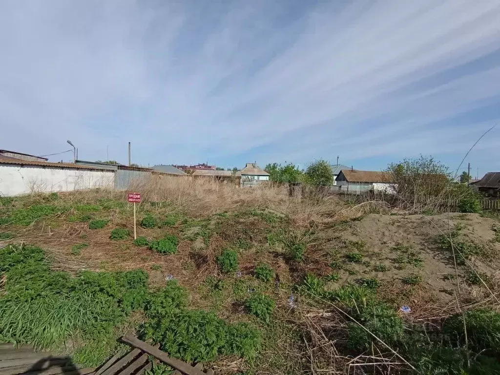 Участок в Алтайский край, Калманский район, с. Калманка ул. Ударцева, ... - Фото 1