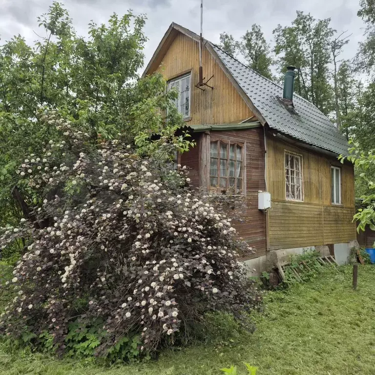 Дача 50 м на участке 8,4 сот. - Фото 0