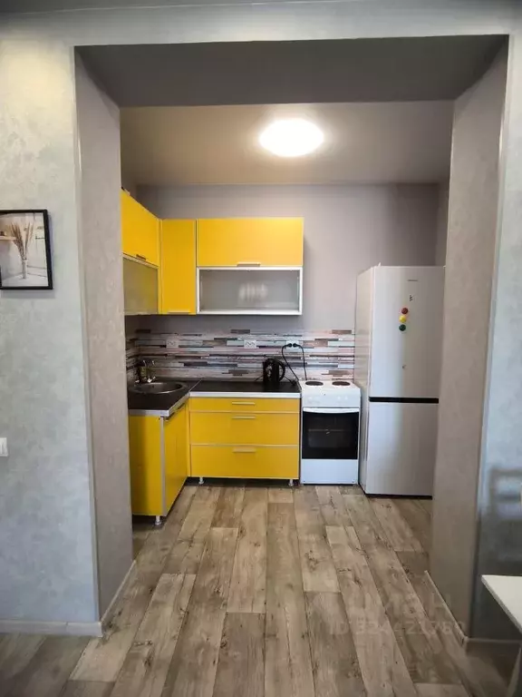 1-к кв. Новосибирская область, Новосибирский район, Мичуринский ... - Фото 2