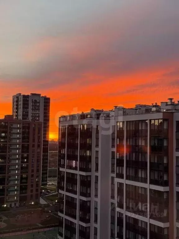 2-к кв. Санкт-Петербург аллея Арцеуловская, 17 (45.0 м) - Фото 1