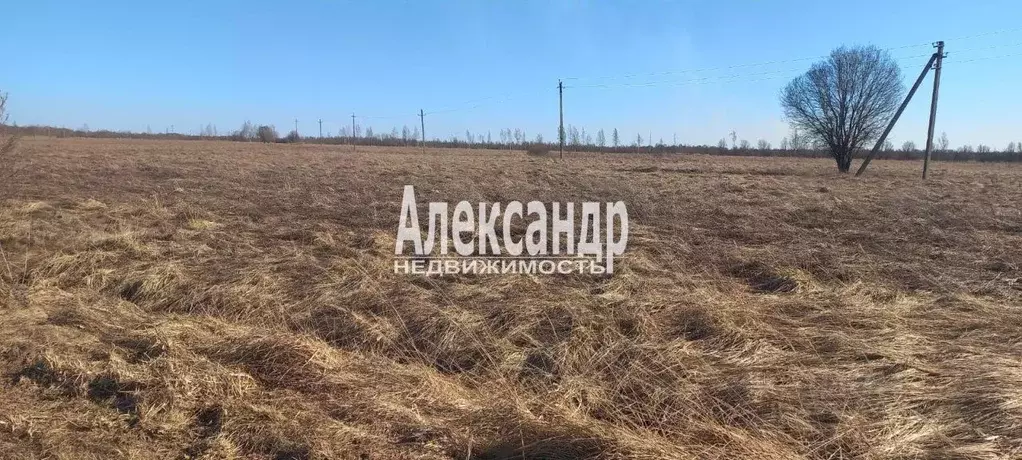 Участок в Новгородская область, Старорусский район, Наговское с/пос, ... - Фото 1