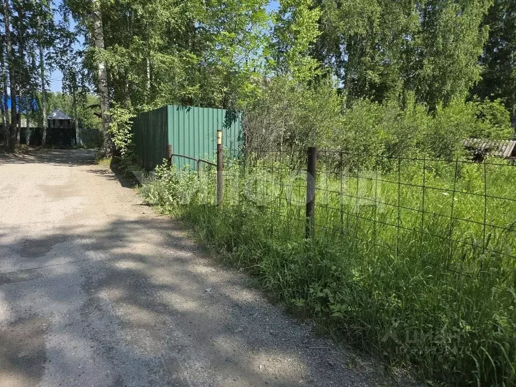 Участок в Новосибирская область, Новосибирский район, Барышевский ... - Фото 0