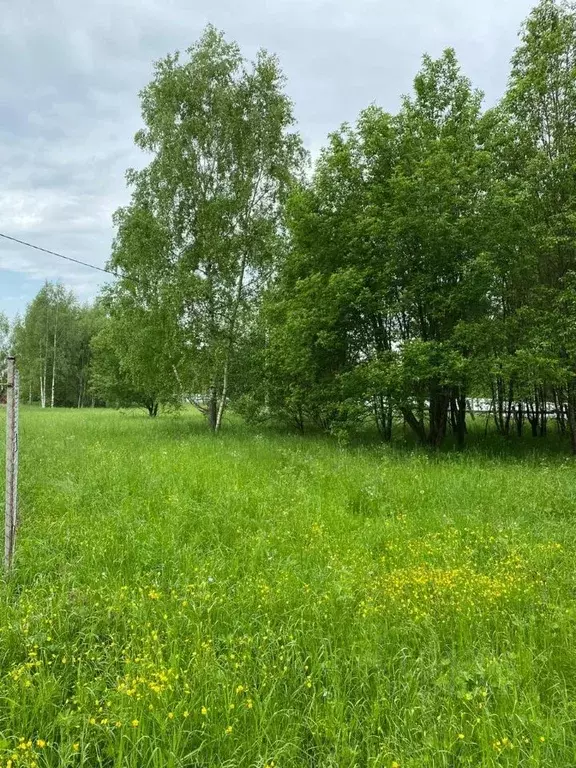 Участок в Владимирская область, Александровский район, ... - Фото 0