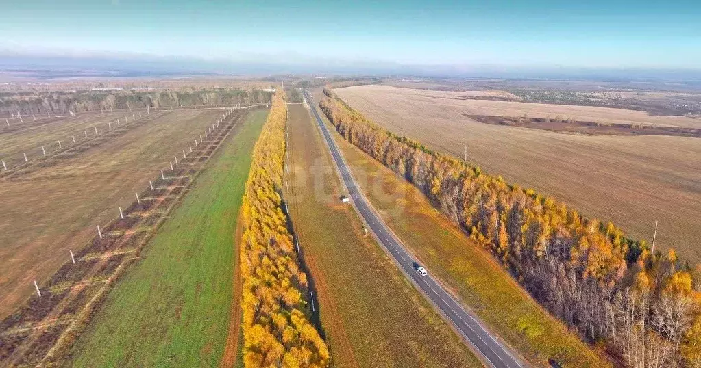 Участок в Татарстан, Высокогорский район, с. Большие Ковали  (9210.0 ... - Фото 1