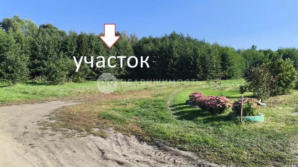 Участок в Рязанская область, Рыбное ул. Матюхина, 60 (12.75 сот.) - Фото 2