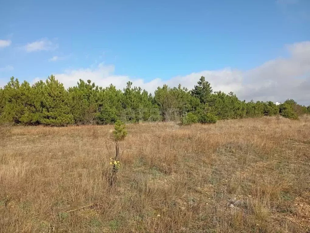 Участок в Крым, Кировский район, Старый Крым городское поселение ул. ... - Фото 1