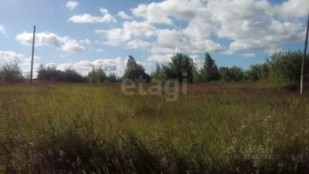 Участок в Брянская область, Трубчевск пер. 2-й Овражный (10.5 сот.) - Фото 1