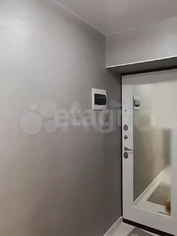 1-к. квартира, 31 м, 4/5 эт. - Фото 1