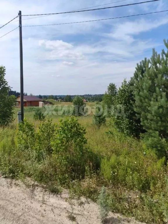Участок в Томская область, Томский район, с. Корнилово, Красная горка ... - Фото 1