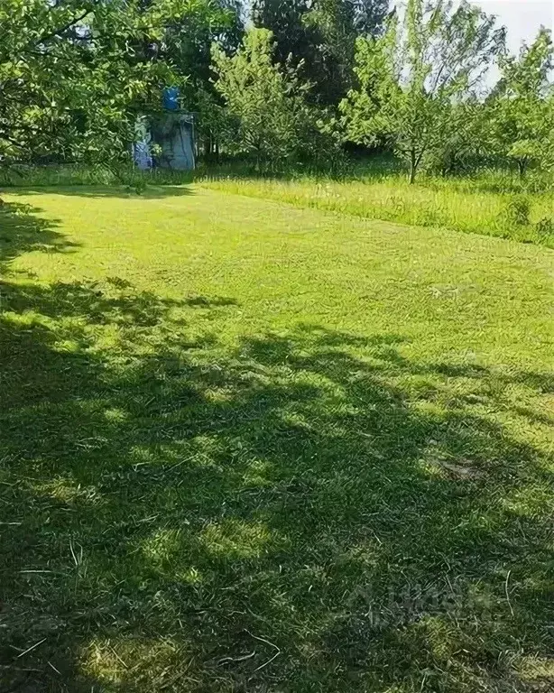 Участок в Московская область, Солнечногорск городской округ, д. Яркино ... - Фото 1