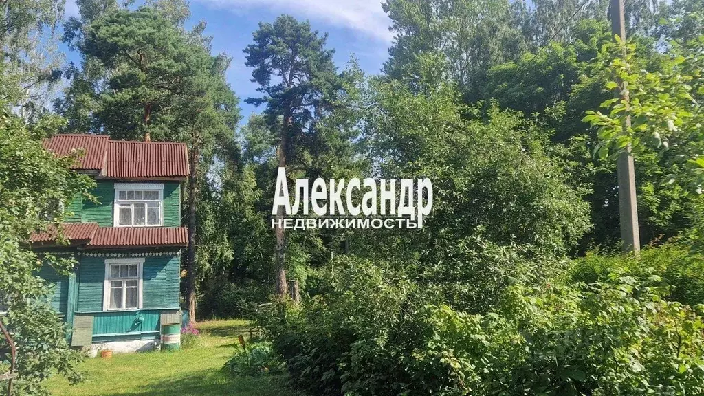 Участок в Санкт-Петербург Ольгино тер., ул. Садовая, 2 (13.5 сот.) - Фото 0