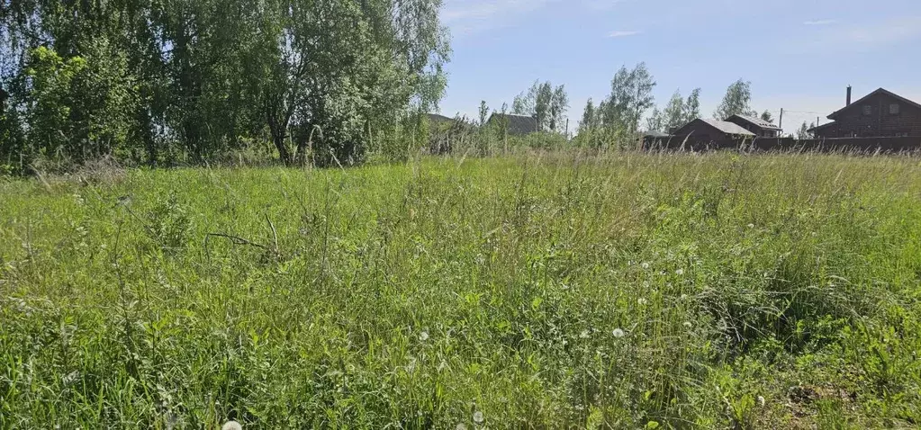 Участок в Московская область, Луховицы  (12.0 сот.) - Фото 0