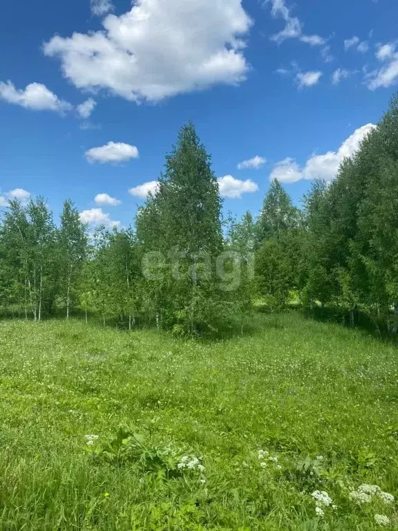 Участок в Кемеровская область, Кемеровский муниципальный округ, д. ... - Фото 0