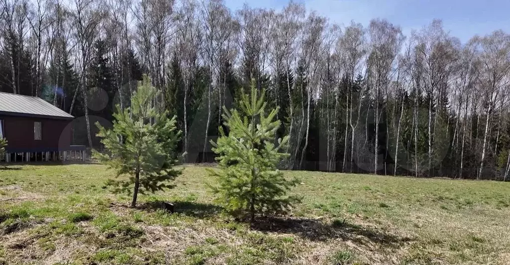 Участок 7,7 сот. (ИЖС) - Фото 0