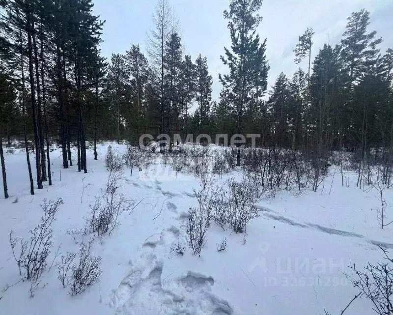 Участок в Забайкальский край, Читинский район, с. Смоленка  (16.0 ... - Фото 1