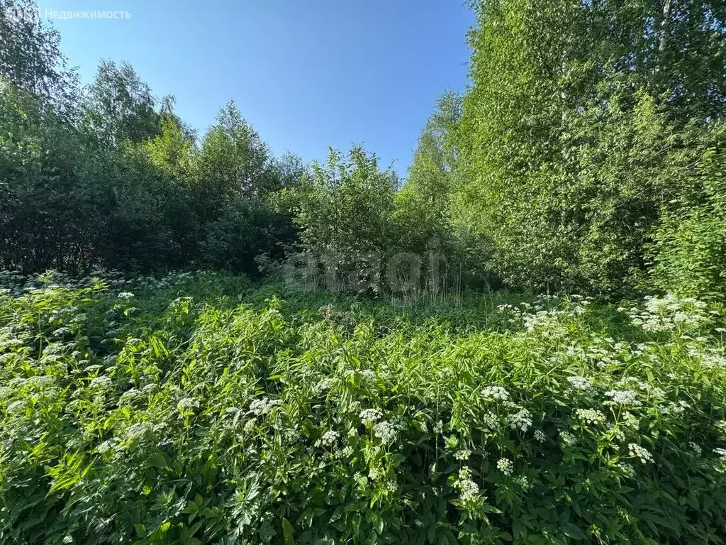 Участок в Вологодская область, Череповецкий муниципальный округ, ... - Фото 1