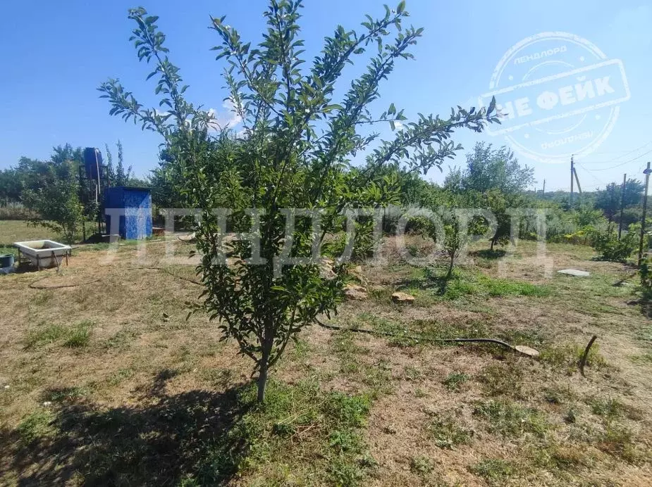 Участок в Ростовская область, Октябрьский район, Персиановское с/пос, ... - Фото 0