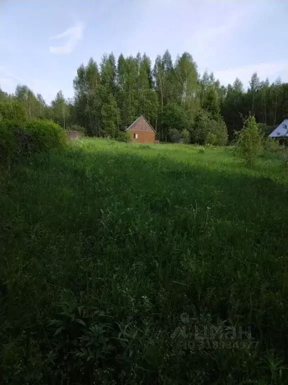 Участок в Тверская область, Калининский муниципальный округ, д. ... - Фото 1
