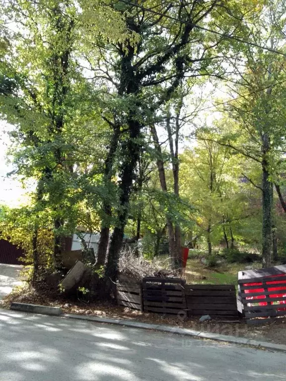 Участок в Крым, Ялта муниципальный округ, пос. Высокогорное  (16.0 ... - Фото 1