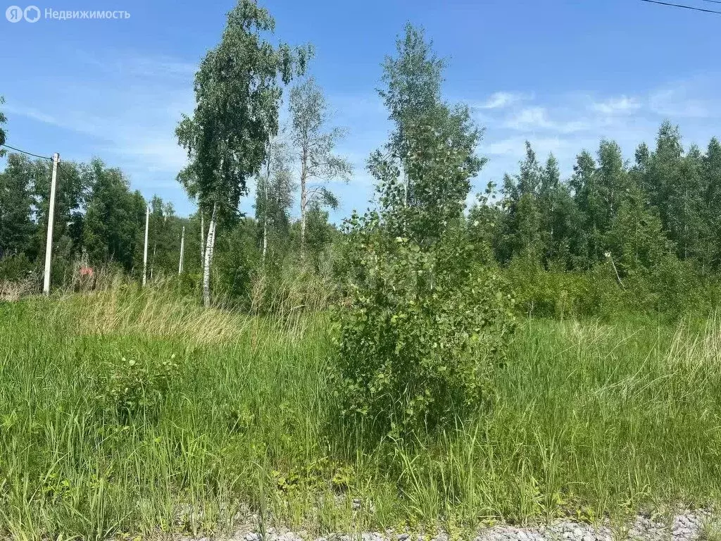 Участок в Быстровский сельсовет, коттеджный посёлок Экопарк (7.94 м) - Фото 1
