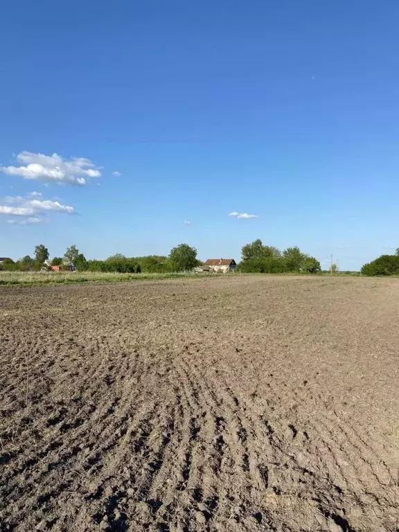Участок в Орловская область, Орловский район, д. Большая Фоминка  ... - Фото 1