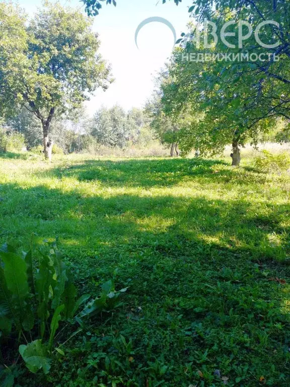 участок в село дмитриевская слобода, снт слобода (3.5 м) - Фото 0