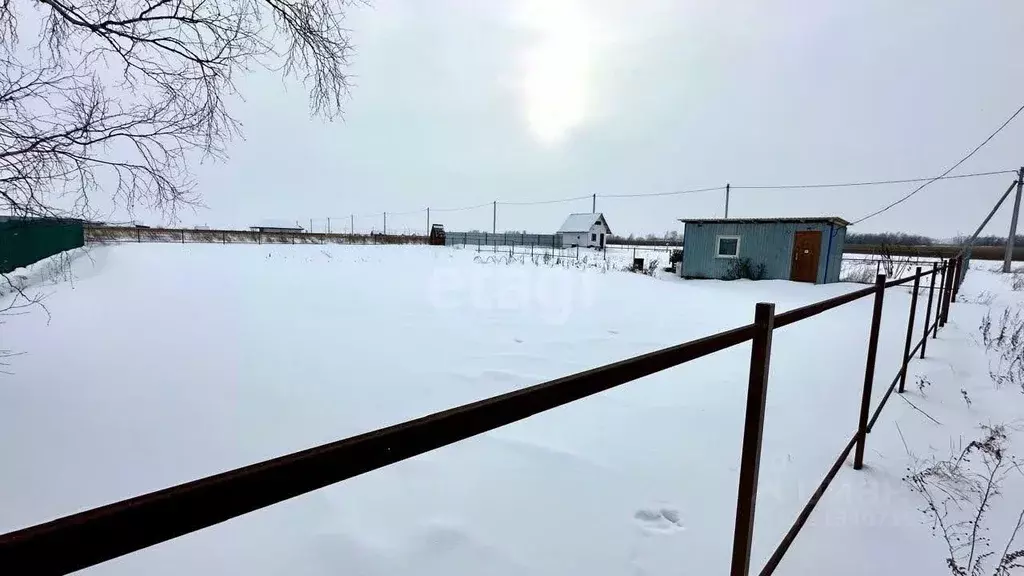 Участок в Новосибирская область, Новосибирский район, Морской ... - Фото 0