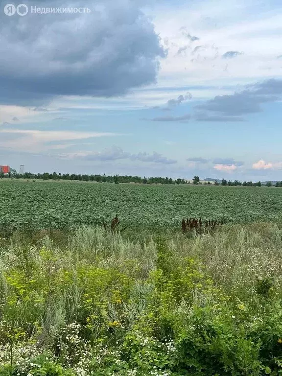 Участок в село Татарская Каргала, Советская улица (11.6 м) - Фото 0