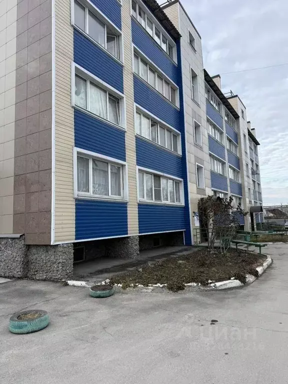 3-к кв. Новосибирская область, Искитим ул. Пушкина, 19 (70.0 м) - Фото 2