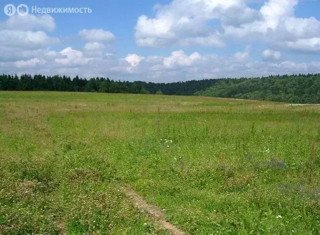 Участок в Оренбургский район, Ленинский сельсовет, СНТ Красная Горка, ... - Фото 1