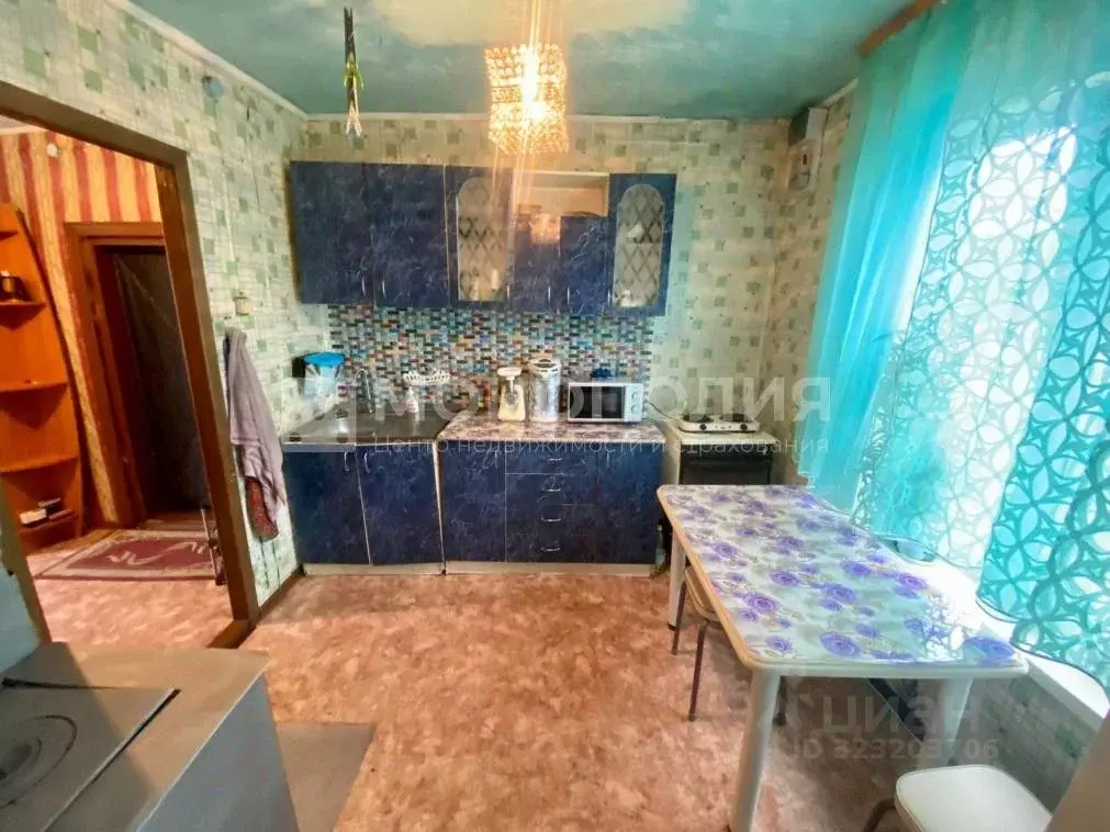 Дом в Амурская область, Белогорск городской округ, с. Низинное ул. ... - Фото 2