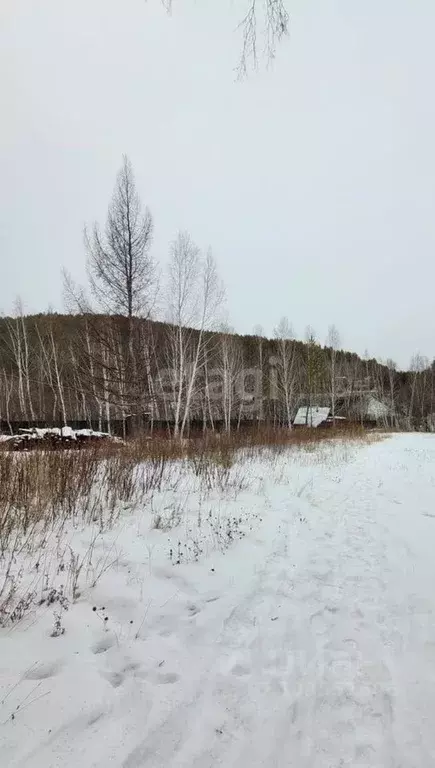 Участок в Забайкальский край, Читинский район, Новокручининский пгт  ... - Фото 1