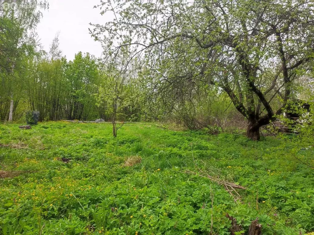 Участок в Владимир, сад Дружба-2, 3 (12.49 м) - Фото 1