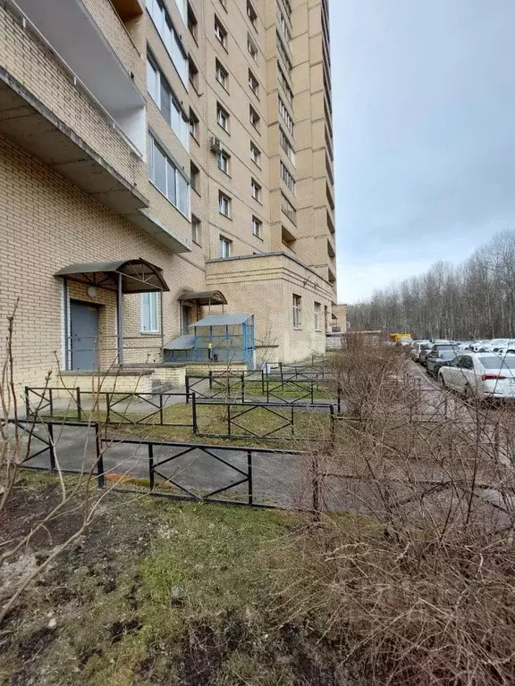 Помещение свободного назначения в Санкт-Петербург просп. ... - Фото 2