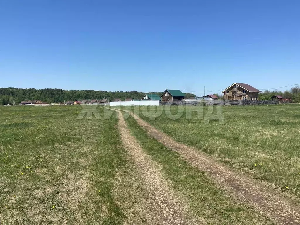 Участок в Томская область, Томский район, Журавли кп  (10.41 сот.) - Фото 1