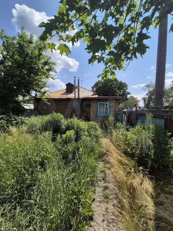 Дом 51,6 м на участке 2,6 сот. - Фото 1
