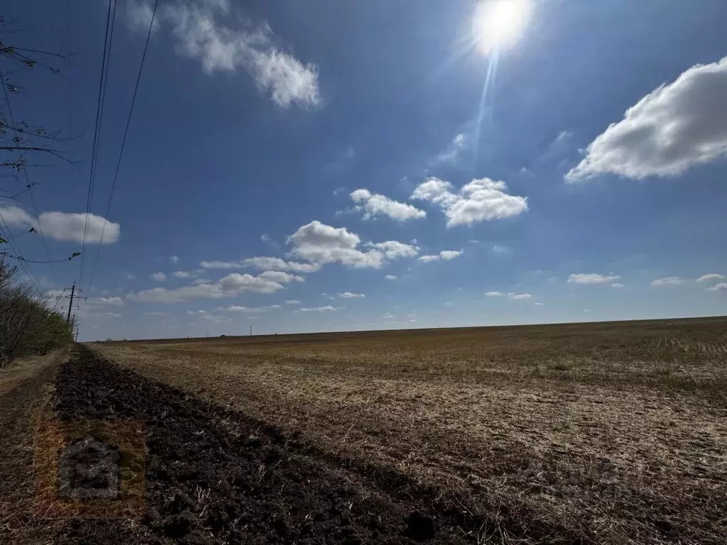 Участок в Крым, Черноморский район, с. Новоивановка  (887.0 сот.) - Фото 1