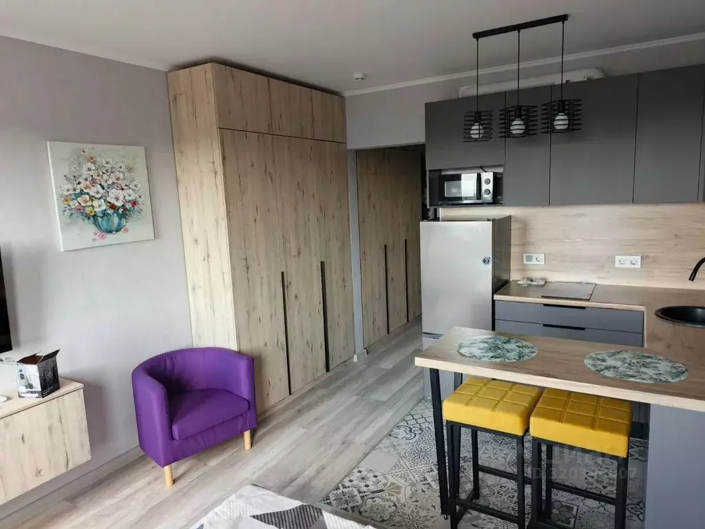 Студия Санкт-Петербург ул. Морской Пехоты, 26к2 (22.5 м) - Фото 1