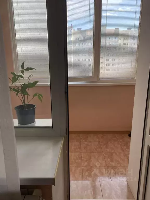 1-к кв. Брянская область, Брянск ул. Медведева, 56 (35.3 м) - Фото 0