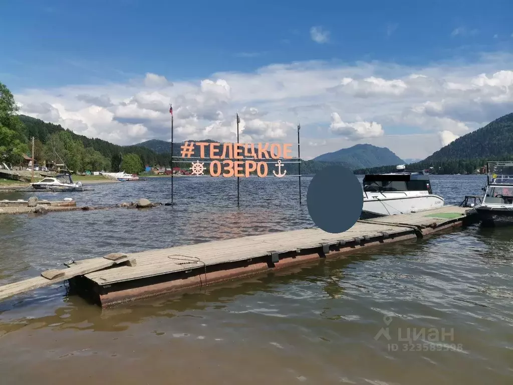 Участок в Алтай, Турочакский район, с. Артыбаш ул. Глухариная, 13 ... - Фото 1