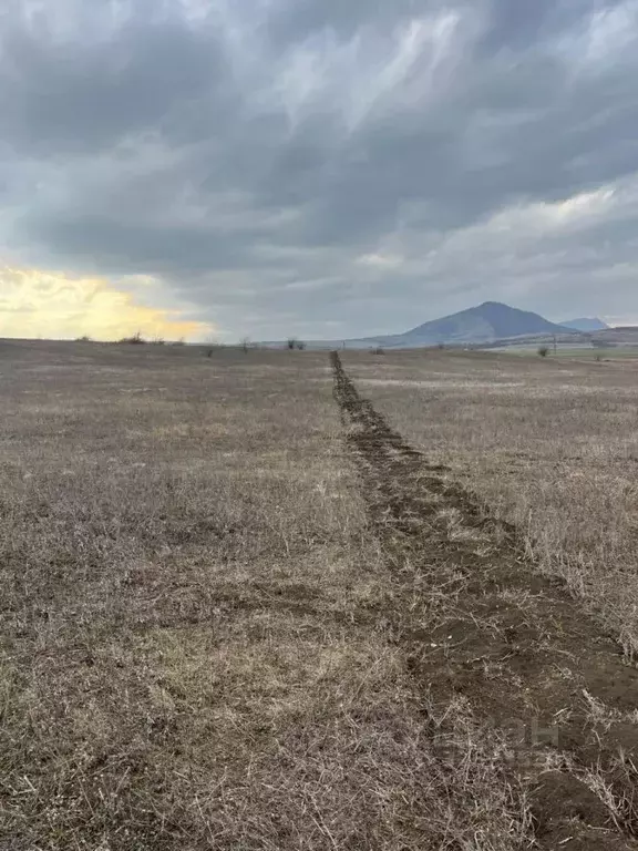Участок в Ставропольский край, Предгорный муниципальный округ, Воронов ... - Фото 1