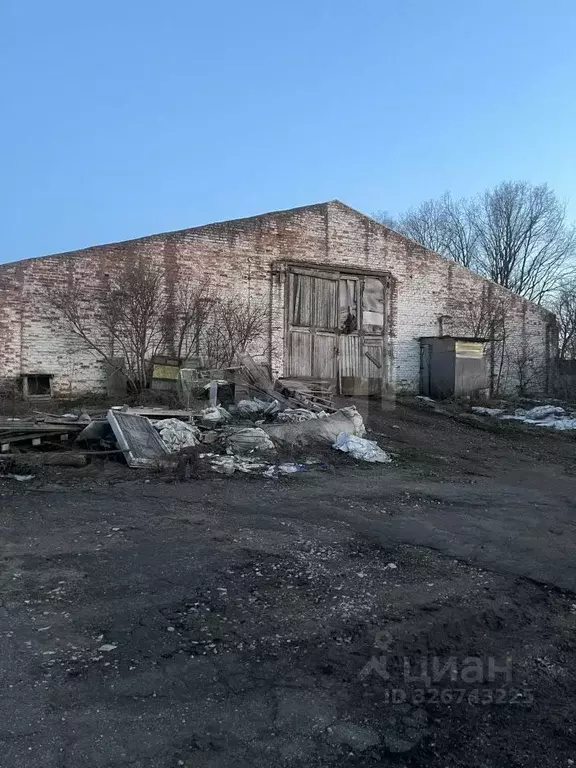 Склад в Тульская область, Алексин городской округ, д. Борисово  (1786 ... - Фото 1