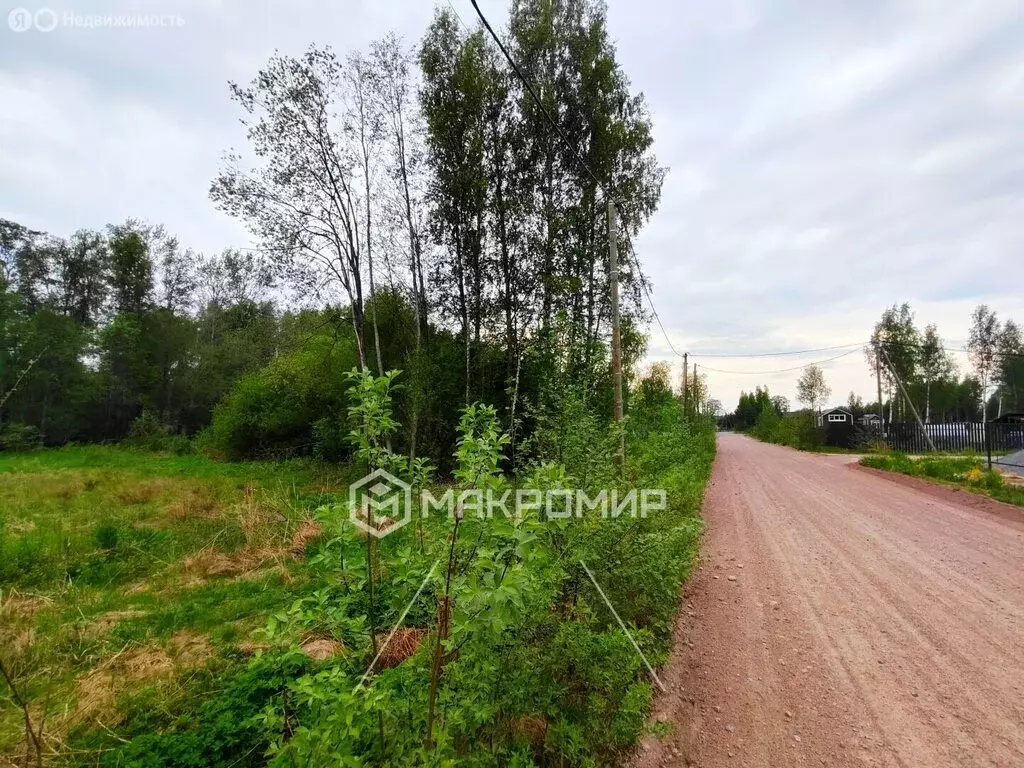 Участок в Выборгский район, Приморское городское поселение, посёлок ... - Фото 1