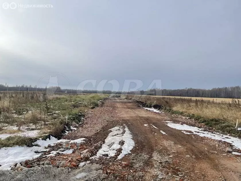 Участок в Тюменский район, Горьковское муниципальное образование (10 ... - Фото 1