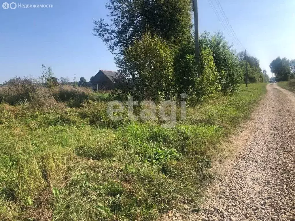 Участок в Навлинский район, Синезёрское сельское поселение, село Ревны ... - Фото 0