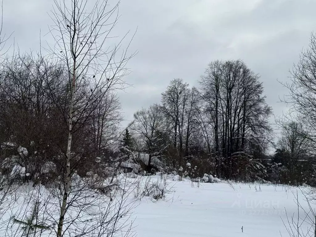 Участок в Московская область, Пушкинский городской округ, д. Талицы  ... - Фото 1