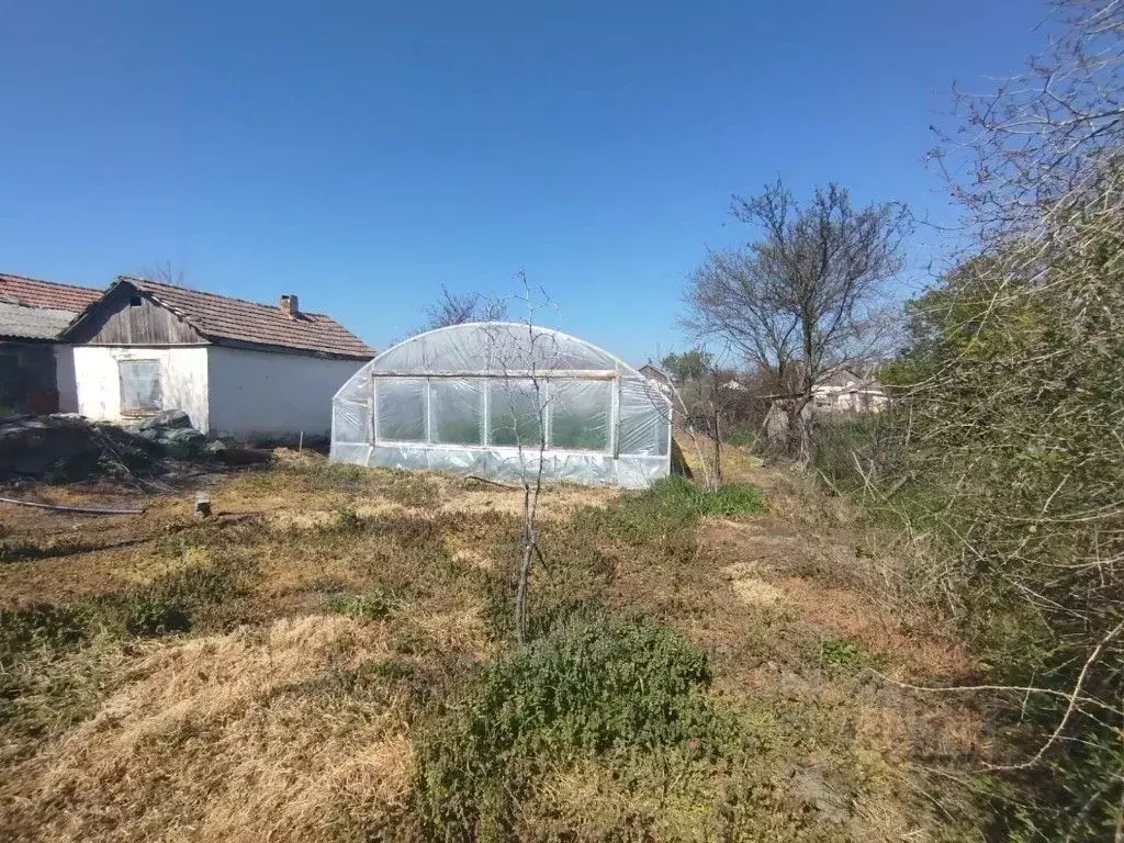 Участок в Крым, Кировский район, Абрикосовское с/пос, с. Бабенково ул. ... - Фото 2