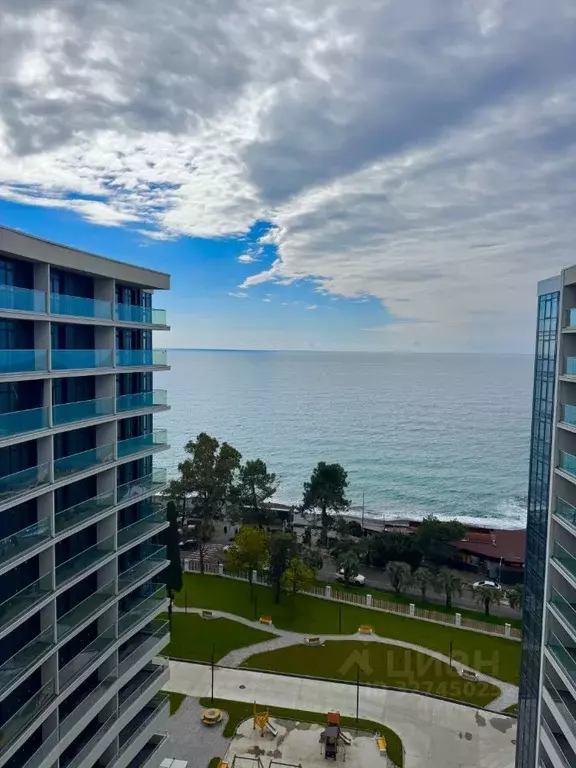 2-к кв. Краснодарский край, Сочи ул. Просвещения, 32 (46.0 м) - Фото 1