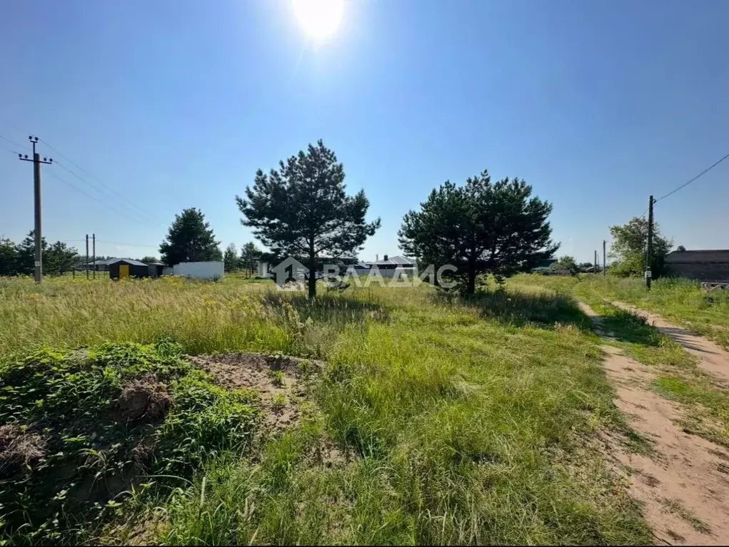 Участок в Татарстан, Нижнекамский район, Шингальчинское с/пос, д. ... - Фото 2